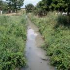 Quebrada La danta, Aguas negras contaminan diferentes sectores.